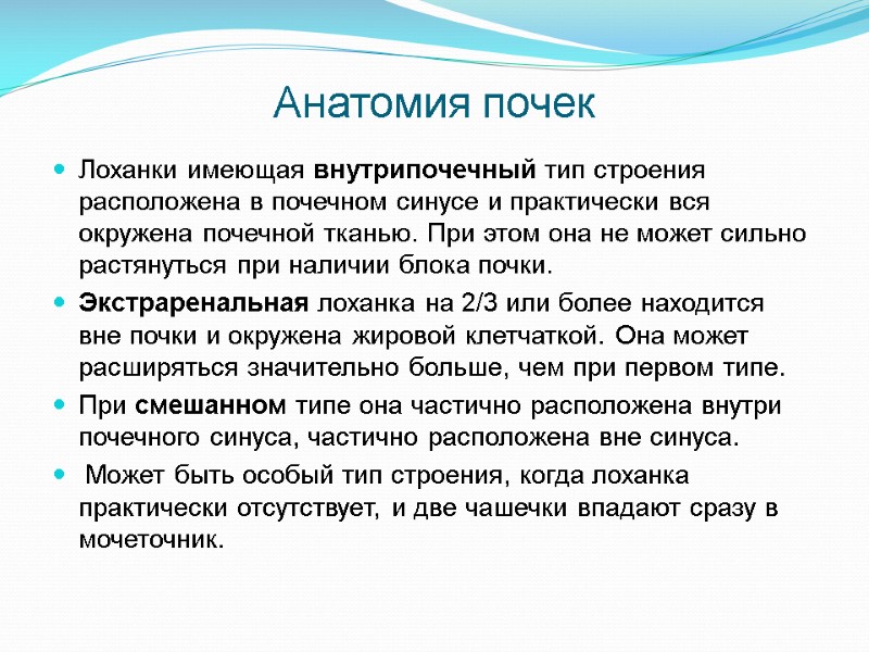 Анатомия почек Лоханки имеющая внутрипочечный тип строения расположена в почечном синусе и практически вся